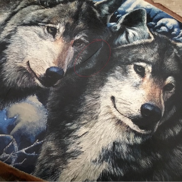 Wood slice wolf wall hanging - Picture 3 of 9